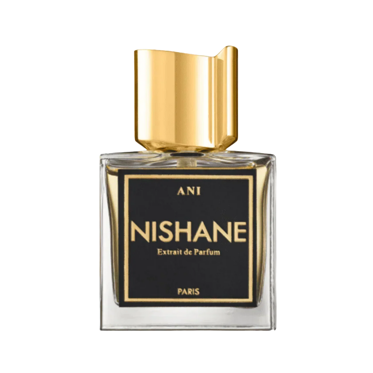 Nishane Ani